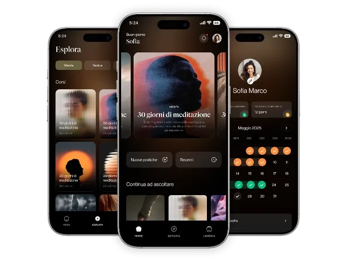 Anapana mindfulness app screenshot